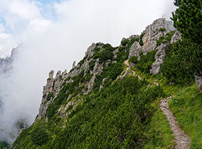 Il sentiero che dal Passo delle Gane sale a Cima Baffelan.