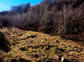 Scorcio sul fosso della Valle dell&rsquo;Ortella sporco di vecchi tronchi strappati dalle valanghe.