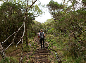 Lunghi tratti di sentiero nel Cirque de Mafate son fatti da rozzi pezzi di tronchi accostati a formare una rotaia.