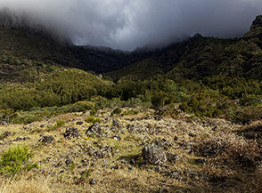Paesaggio intorno a Marla.