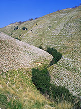 All&rsquo;interno del selvaggio e brullo Vallone di Santa Lucia.