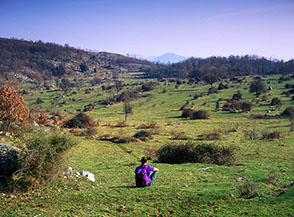 Verdi pascoli sulla via del ritorno per il Versante Sud di Monte Calvilli.
