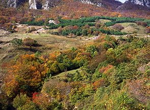 Autunno alle pendici del Monte Cervia.