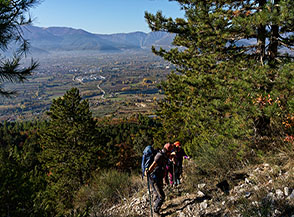 Rimontando tra i pini neri all&rsquo;imbocco del Vallone del Diavolo, alle nostre spalle la Conca Peligna (Sulmona).