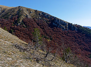Dalla Cresta Sud-Ovest del Colle dei Cani con vista sul Vallone del Diavolo.
