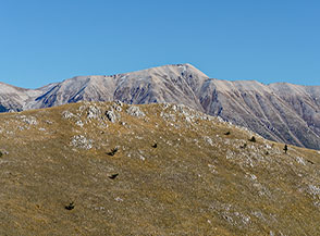 Dal Cimerone vista sulla Majella con il Monte Amaro al centro.
