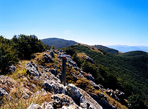 Sulla cresta sommitale nei pressi della Montagnola.