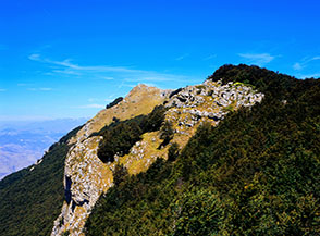 Il cucuzzolo roccioso della Montagnola circondato dal bosco, e pi&ugrave; in l&agrave; la cima di Monte Rotondo.