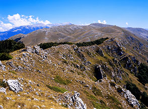 Da Colle Affogato vista verso i prati di Iaccio Grande ed il Monte Morrone.