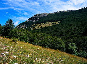 Vista verso Monte Rotondo dal colle scoperto nei pressi della Fossa.