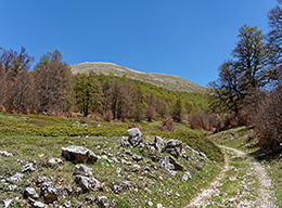 Colle del Carpino e Monte Tagliareccia