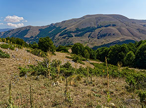 Lungo la salita per i Fossoni una radura ci apre la vista sul Monte Rotella.