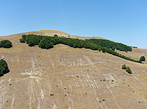 Il versante orientale del Colle del Pelosello.