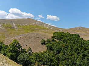 La cima di Toppe Vurgo alla testata del Fosso il Valzo.