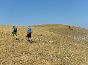 In vista dell&rsquo;ampio gobbone sommitale di Colle del Pelosello.