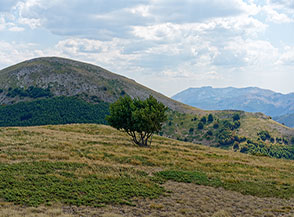 Sulla cima di Colle Malpasso con vista su Serra Sparvera.