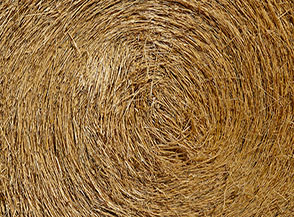 &ldquo;Vortice&ldquo; (balla di fieno sul Piano delle Ciinque Miglia).