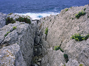 Spaccatura nella roccia della scogliera a San Domino (costa settentrionale).