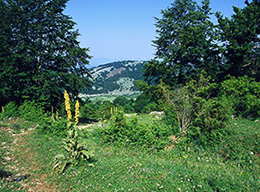 Colle della Fungara e Monte Nuria