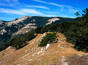 Il sentiero che, seguendo il filo di cresta del Colle della Tagliata, si dirige verso il Monte Autore (sullo sfondo).