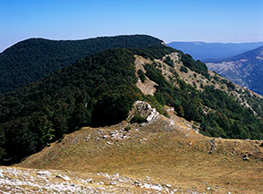 Passo del Procoio, al di l&agrave; la cresta prosegue per il Colle della Tagliata.