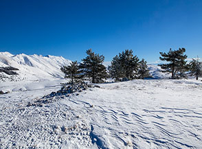 In cima a Colle delle Macchie, sullo sfondo la Catena Occidentale del Gran Sasso.