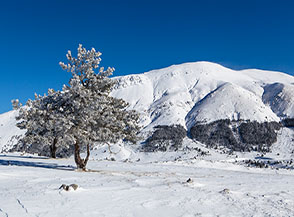 Il Monte San Franco visto da Colle delle Macchie.
