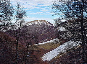Finestra nel bosco con vista su Monte Costa Acera.
