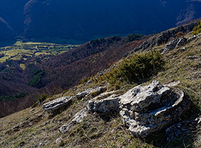 Scorcio lungo il traverso del Versante Sud di Colle Renose.