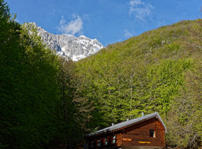 Uno spicchio del Monte Sirente fa capolino dai boschi sopra lo Chalet del Sirente.