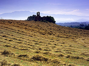 &ldquo;Gioie semplici&rdquo; (campo nei pressi di Collebaccaro).