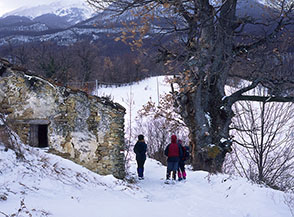 Il primo stazzo con la secolare roverella che s&rsquo;incontrano lungo il percorso per le Gole dell&rsquo;Inferno Spaccato (Colle Mesole).