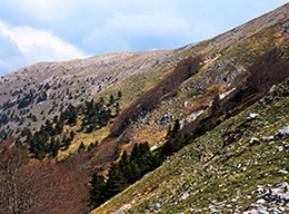 Colle Nero e Serra Matarazzo