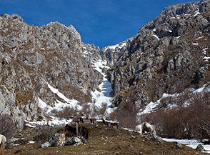 Ai piedi del Canalino: il canale che separa il Monte Velino dal Cafornia.