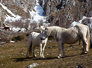 &ldquo;Bacino&ldquo; (ai piedi del Canalino Sud del Velino).