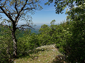Una prima finestra panoramica sulla Cresta Nord-Ovest del Monte Pellecchia.