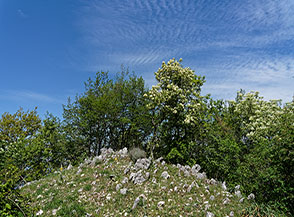 Scorcio lungo la Cresta Nord-Ovest del Pellecchia.