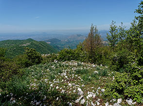 Vista a valle dalla Cresta Nord-Ovest del Monte Pellecchia.