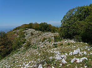 Un soleggiato tratto della Cresta Nord-Ovest del Monte Pellecchia.