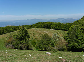 Colle Valle del Lago poco prima della cima del Monte Pellecchia.