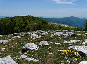 &ldquo;Relax&ldquo; (cima del Monte Pellecchia).