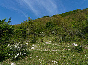 Ai piedi del versante occidentale del Monte Pellecchia.