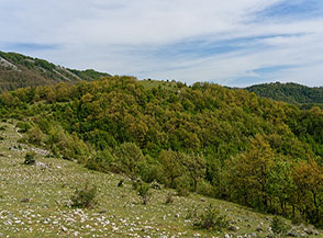 Vista sul Colle della Caparnassa.
