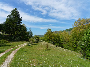 Scorcio sul crinale di Serre dei Ricci.