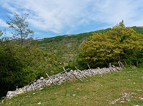 Vista sulla Cresta Nord-Ovest del Pellecchia dalle Serre dei Ricci.