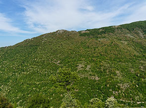 Vista sul Fosso di Fonte Nocelle sormontato dal Colle di Pietropaolo.