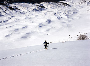 Zompettando sulla neve verso Valle della Dogana.