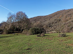 Scorcio sui verdi pascoli di Prato delle Forme.