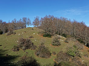 Scorcio della Cresta Sud del Monte Guardia.