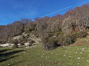 Paesaggio ai prati del Fontanile Alto di Campitello.